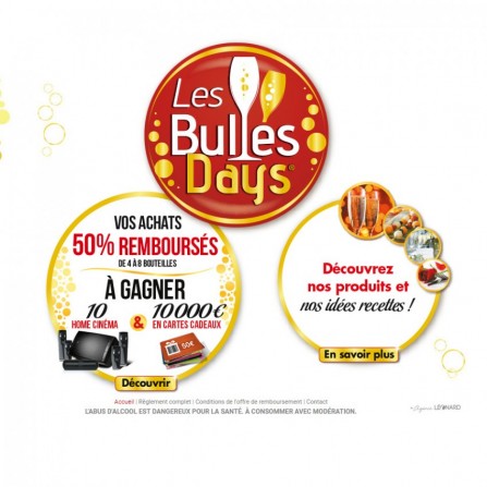 Freelance Internet développe les Bulles Days